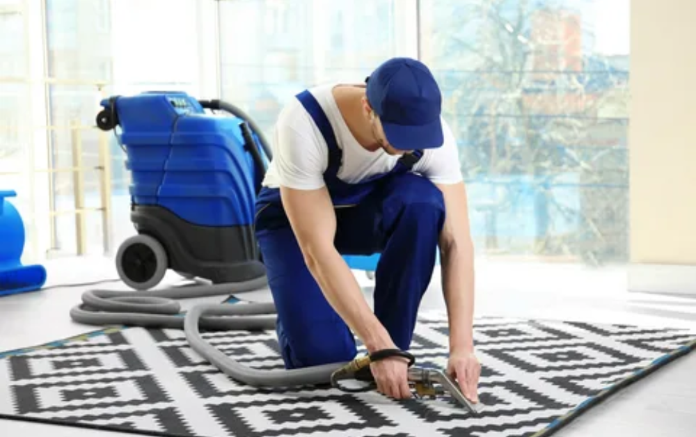 Why Professional Carpet Cleaning is Essential for a Fresh and Healthy Home?