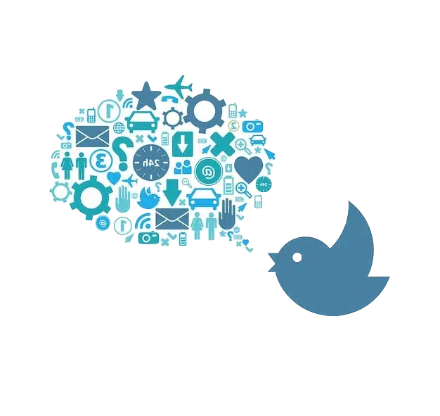 Twitter marketing services in Dubai