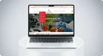 WordPress Development