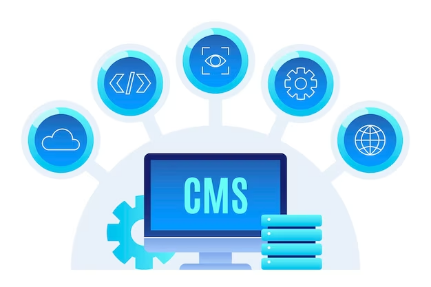 CMS Website Development Services Dubai