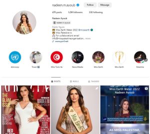 Nadine Ayoub Instagram Account