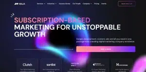 Ninja Promo Website